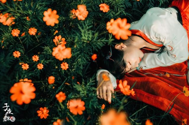 三皇子被陷害小说,小说三年前被三皇子陷害