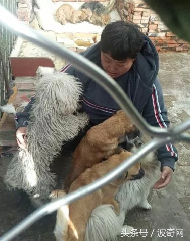 閲戞瘺绗煎瓙閲岀殑娉拌开,閲戞瘺鍜岀憻鐟熷彂鎶栫殑娉拌开