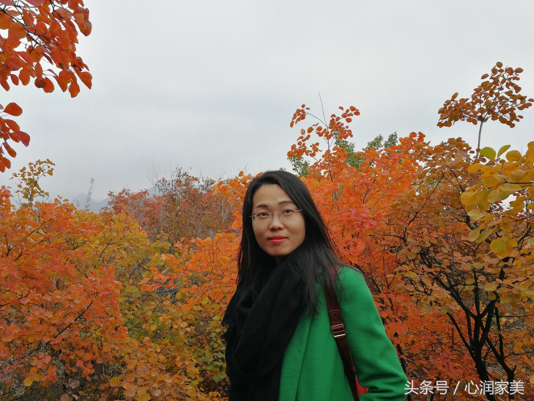 求助心理咨询视频,心理求助咨询什么电话