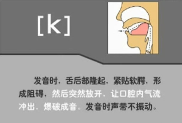 音标表48个国际音标发音教学视频,英语美式音标48个音标谐音图