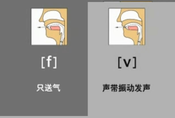 音标表48个国际音标发音教学视频,英语美式音标48个音标谐音图