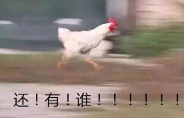 老王教你搞发明,老王整只鸡的做法大全