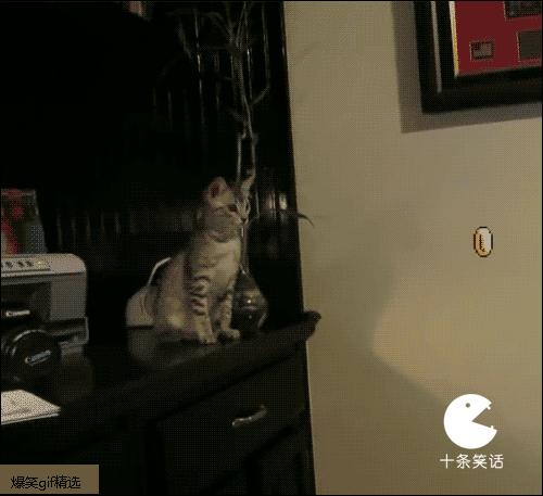 爆笑段子说别人被绿了,关于被绿的段子笑话