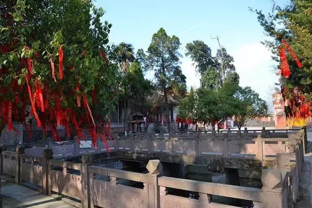 成都附近适合秋游的地方,成都秋游好去处