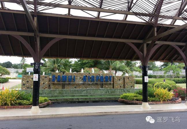 世界上最美的机场跑道,世界上最美的机场