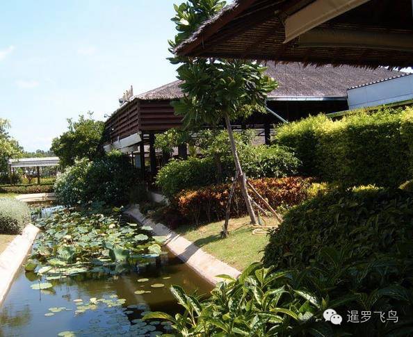 世界上最美的机场跑道,世界上最美的机场