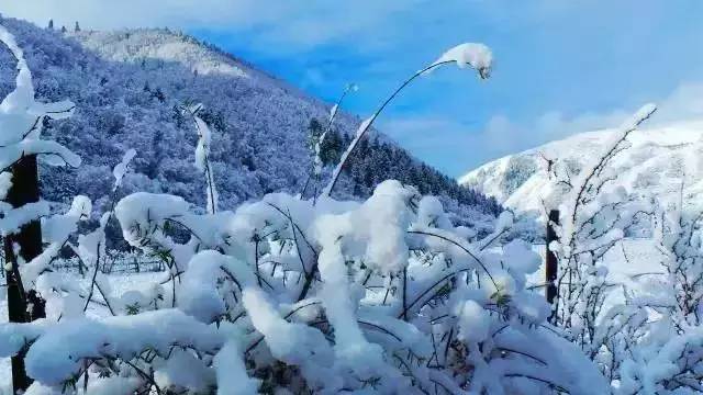 四川最深山神秘的古镇,四川最原始自然的村落
