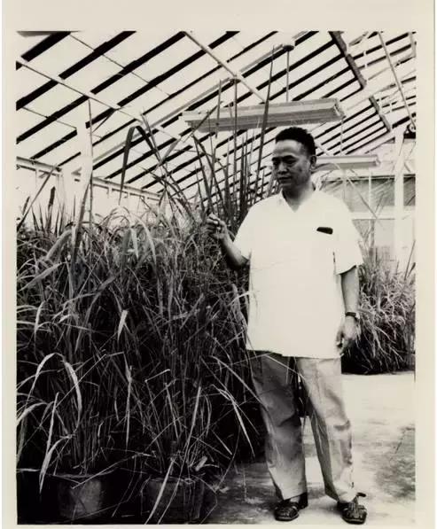 兵荒马乱的年代怎么生存,普通农民子弟怎么样才可以当大官