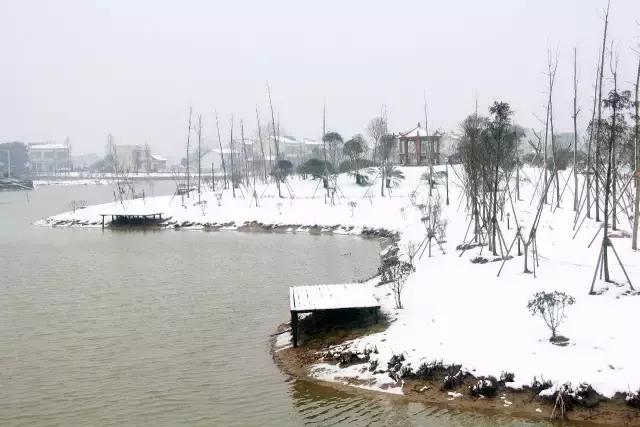 一封火爆全网的辞职信,一封辞职信的心声