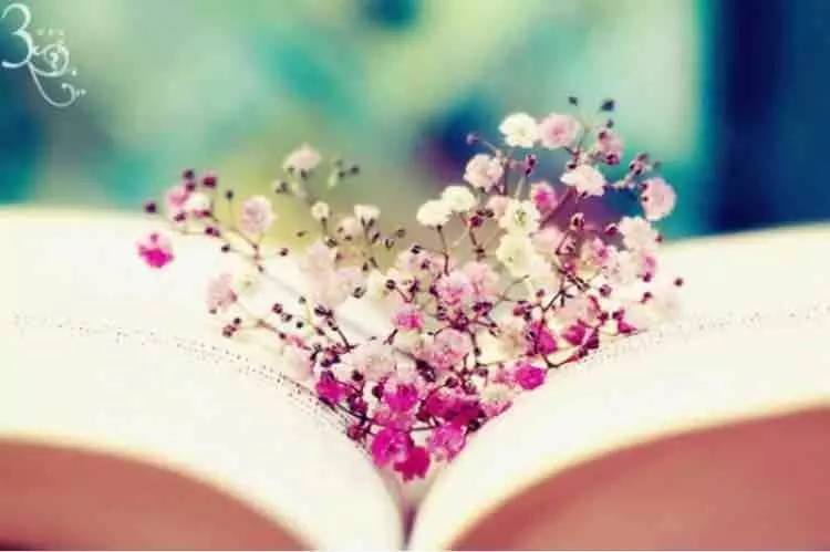 教师节快乐老师你辛苦了,教师节快乐老师您辛苦了