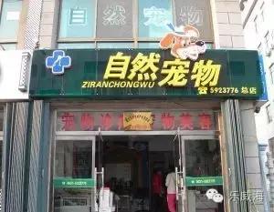 威海最全的宠物店汇总!喵奴汪主人还不速速收藏!