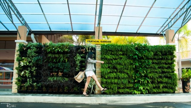 海岛兰卡威旅游,梦回兰卡威度假海岛