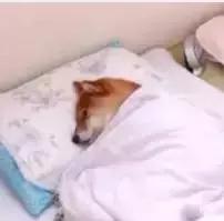 南雄邓坊大风车,南雄全安大风车