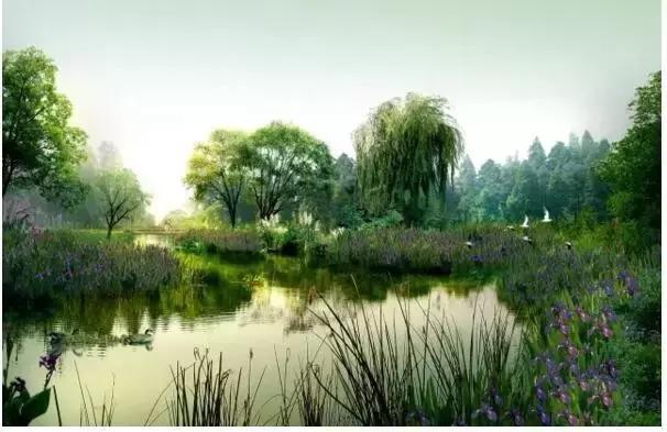 成都天府新区公园排名,成都新增湿地公园