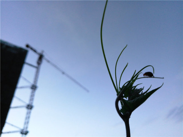 颠覆传统模块化大作:MotoZ上手评测