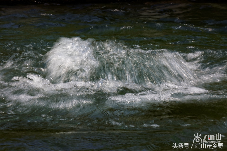 这眼泉好神奇!用泉水洗眼,少年不近视,老者不花眼!