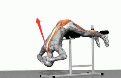 足球运动中常见的运动损伤及预防,足球运动员腰部损伤治疗