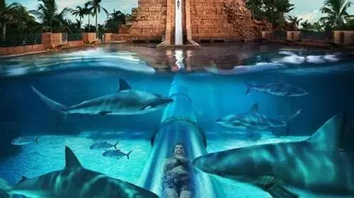 阿联酋可以落地签吗,阿联酋去哪里可以落地签