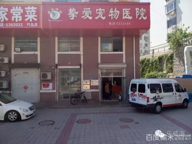 威海最全的宠物店汇总!喵奴汪主人还不速速收藏!