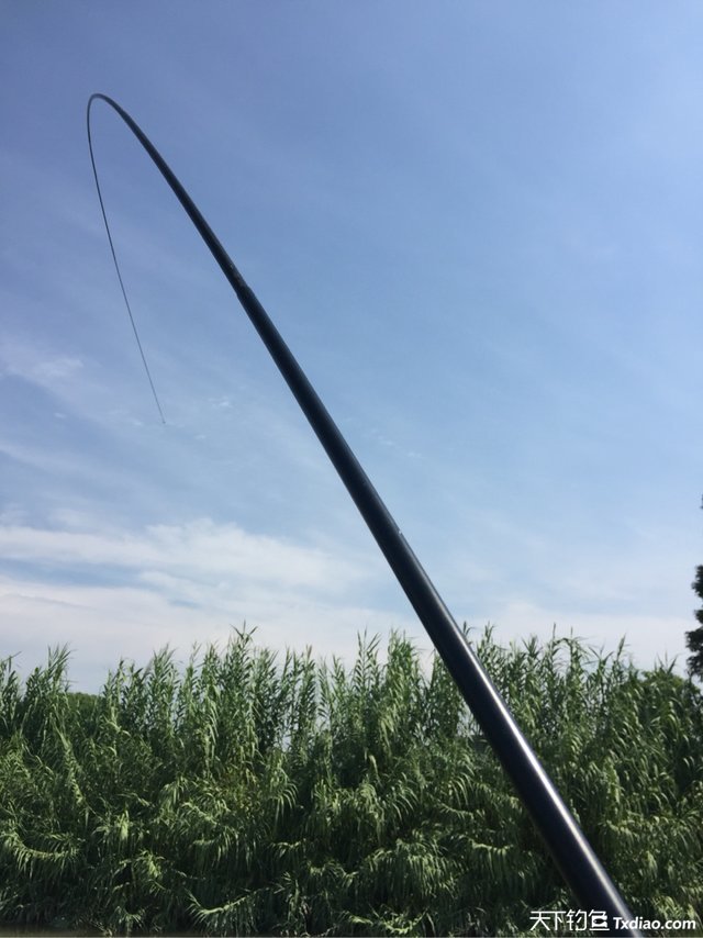 渔品汇产品,渔品汇饵料