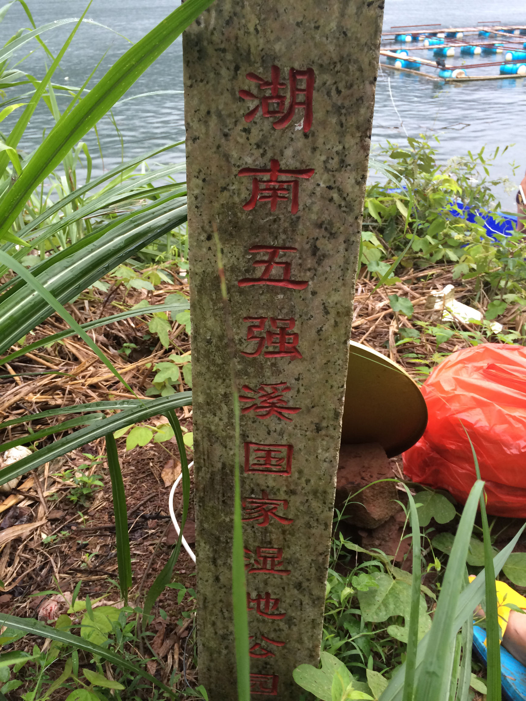 垂钓荒野之河中巨怪,荒野垂钓河中巨怪合集