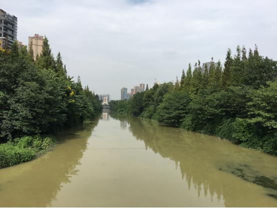 攀成钢改善楼盘,攀成钢商业最新动态