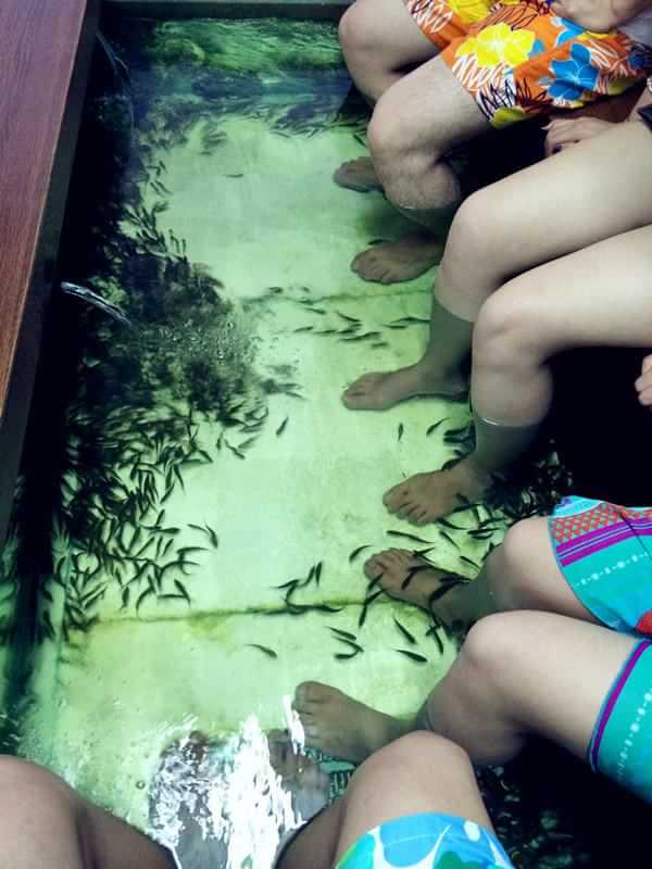 普吉岛之旅phuket,普吉岛5日自由行攻略