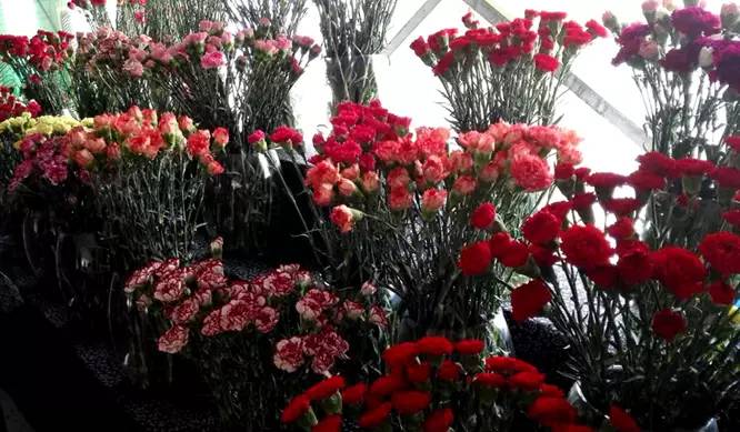 关注20个银川之最,你知道几个?搞定一半你就太牛了!