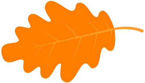 医疗信息腰老疼，那您得来康复医学科腰痛学校了！