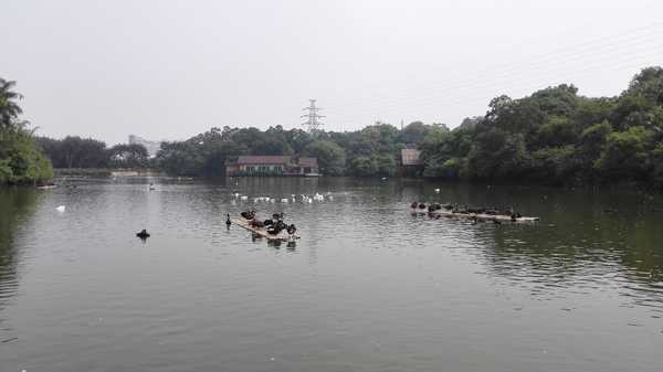 2017春节珠海广州长隆5日亲子游,广州珠海长隆五日游