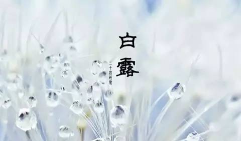 爱银川爱生活明天将迎“白露”全年昼夜温差最大节气