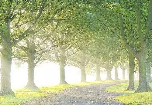 当你相信心灵鸡汤的时候,你不相信的东西就是鸡汤