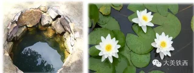 普兰店著名遗址,瓦房店普兰店历史文化