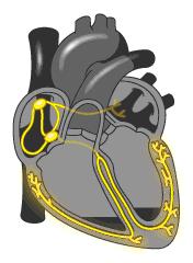 一张图看懂18幅智商图,30秒看懂高智商图
