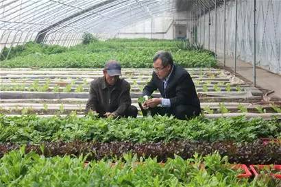 山东未来五年规划,不得了山东话