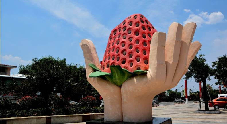 山东未来五年规划,不得了山东话