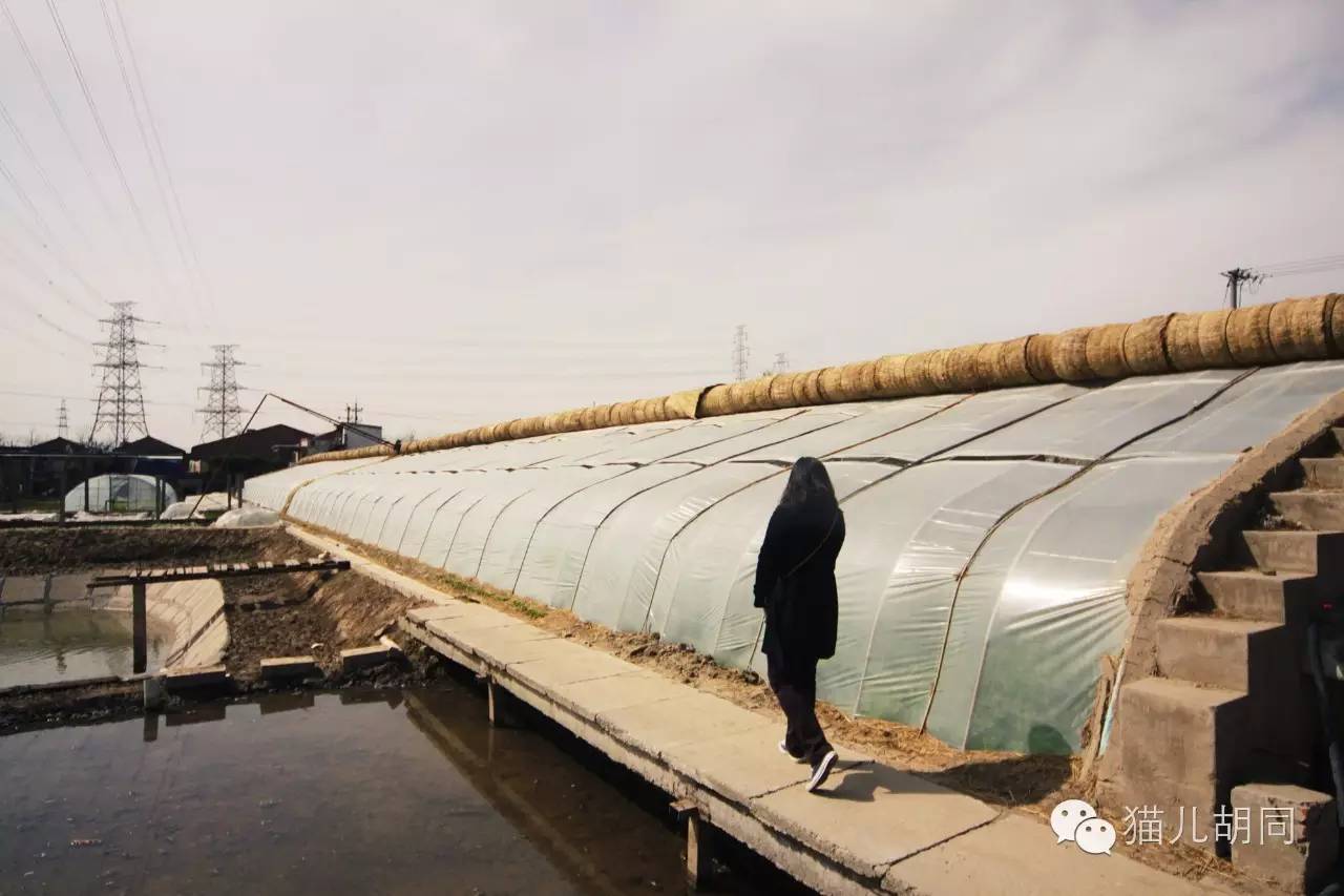 车棚放车,车棚躲雨冰雹