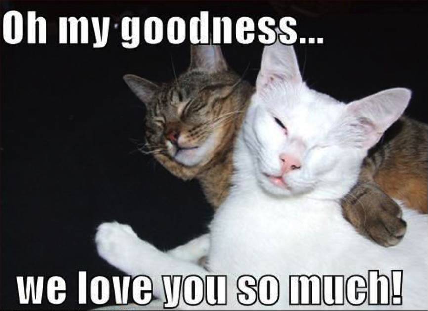 出国旅游代购怎么出货,出国代购流程及步骤