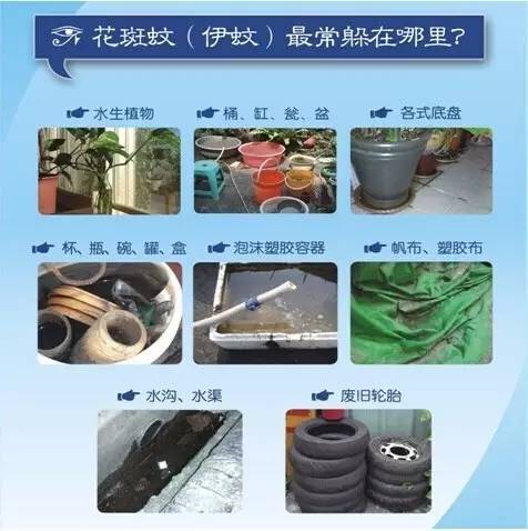 琚殣缈呰櫕鍜簡缃戝弸鍔濆憡灏卞尰,涓撳琛ㄦ槑琚殜瀛愬挰鏄洜涓烘櫤鍟嗛珮