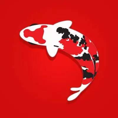 我的锦鲤梦,一直在坚持!