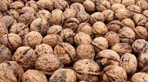 元江的特色美食有哪些 (元江美食干货)