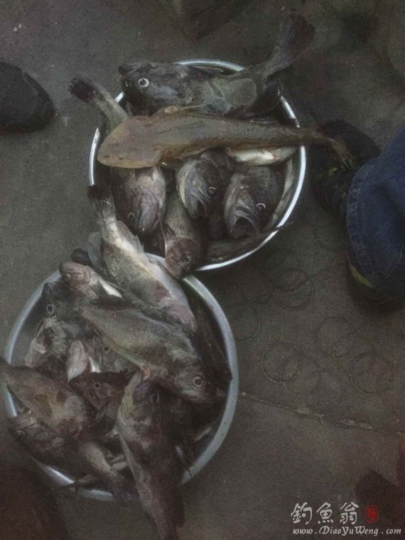 船钓封杆日记向晕船一天吐七次的老哥敬礼