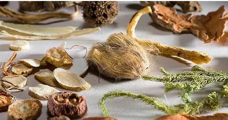 推荐一道糖尿病养生菜,糖友吃点什么能补气养生