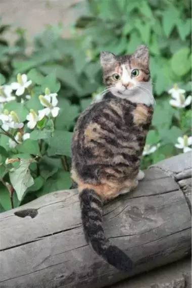 在日本买到假货,日本假货最新处理方法