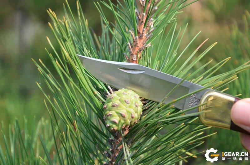 巴克刀测评,巴克小刀测评