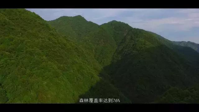 一个你来了就不想走的魅力城市,一个你来了就不想回去的地方