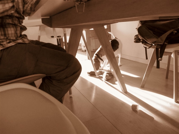 摄影师2岁宝宝拍照,最小年纪摄影师