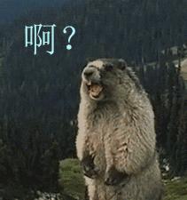 怎么去除百度弹窗广告,百度一打开就有广告怎么去除