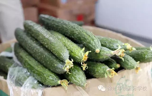 舌尖上的牛肉面吉华路店,舌尖上的美食华达