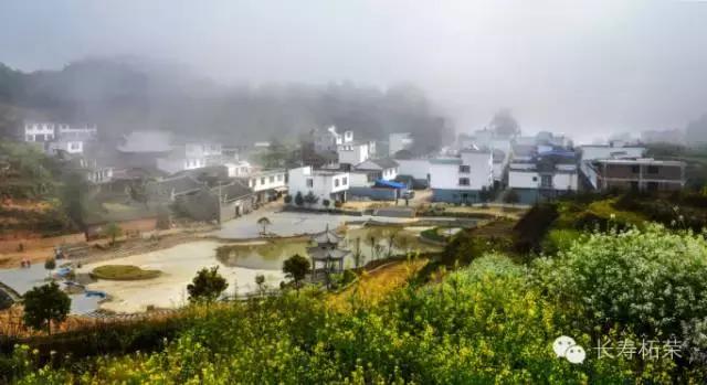 柘荣县旅游必去十大景点,柘荣县楮坪乡景点